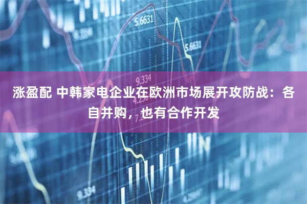 涨盈配 中韩家电企业在欧洲市场展开攻防战：各自并购，也有合作开发